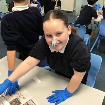 Science - Dissecting Hearts